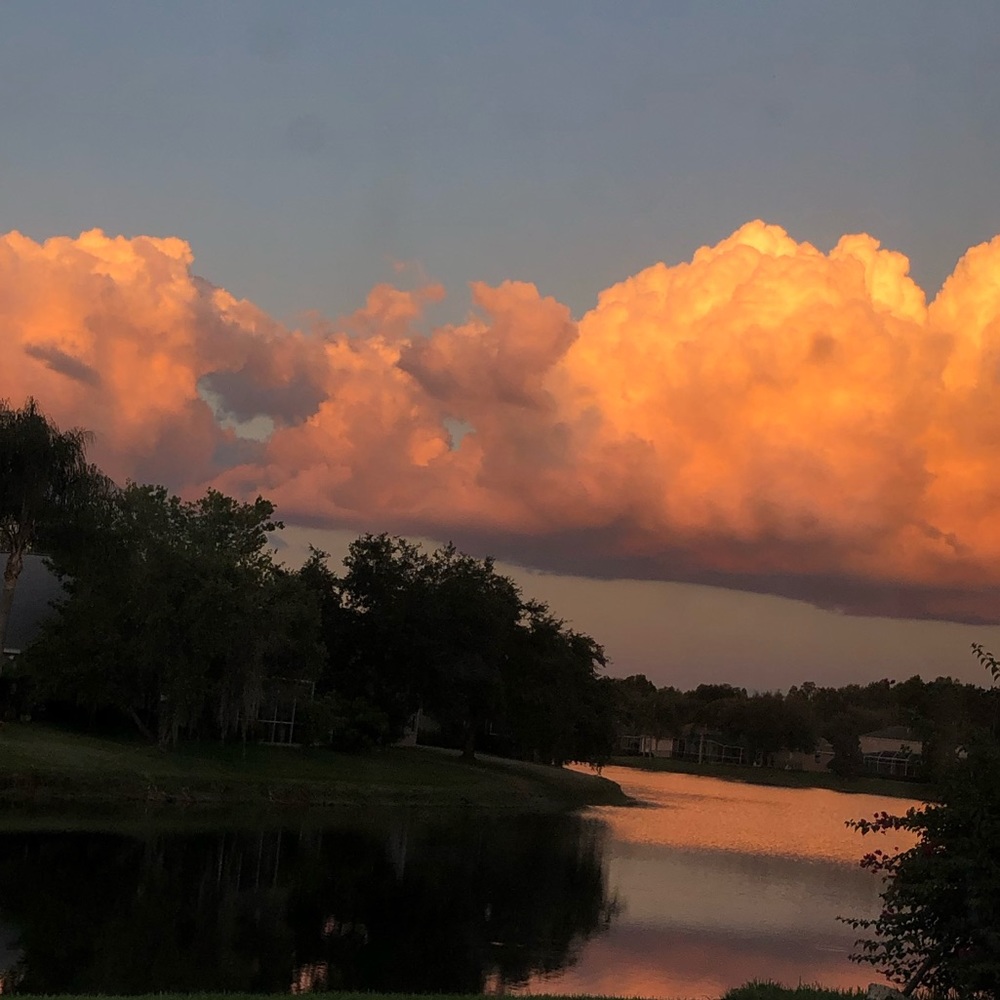 Meet your Posher, Kelsey